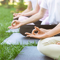 WellnessMastery networking